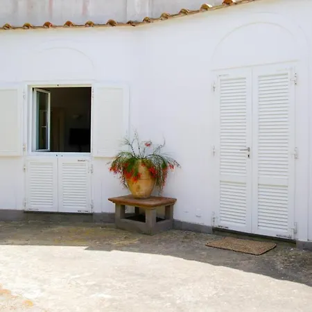 Lemon Grove, Capri Marina Grande (Capri)