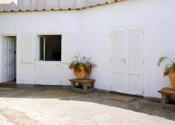 Lemon Grove, Capri Marina Grande (Capri)