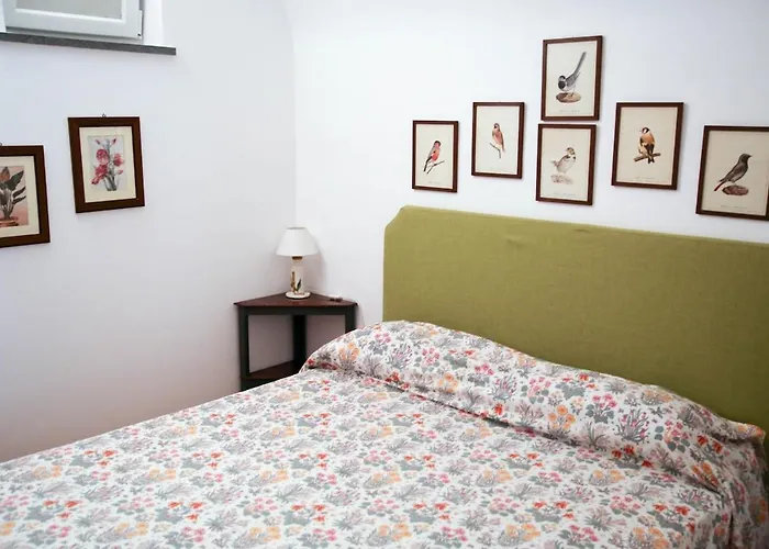 Lemon Grove, Capri * Marina Grande (Capri)