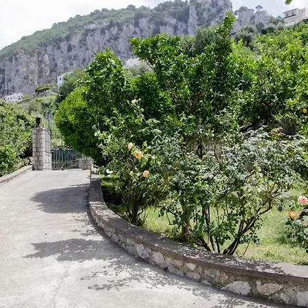 Lemon Grove, Capri Apartamento